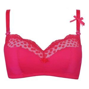 Cache Coeur Lollypop Nursing Bra in Grenadine - NWT!